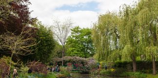 Grădinile Giverny – Oaze de inspirație ale lui Claude Monet Gradinile Giverny