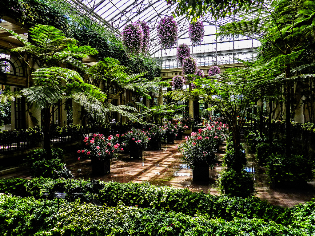 Gradinile Longwood1111