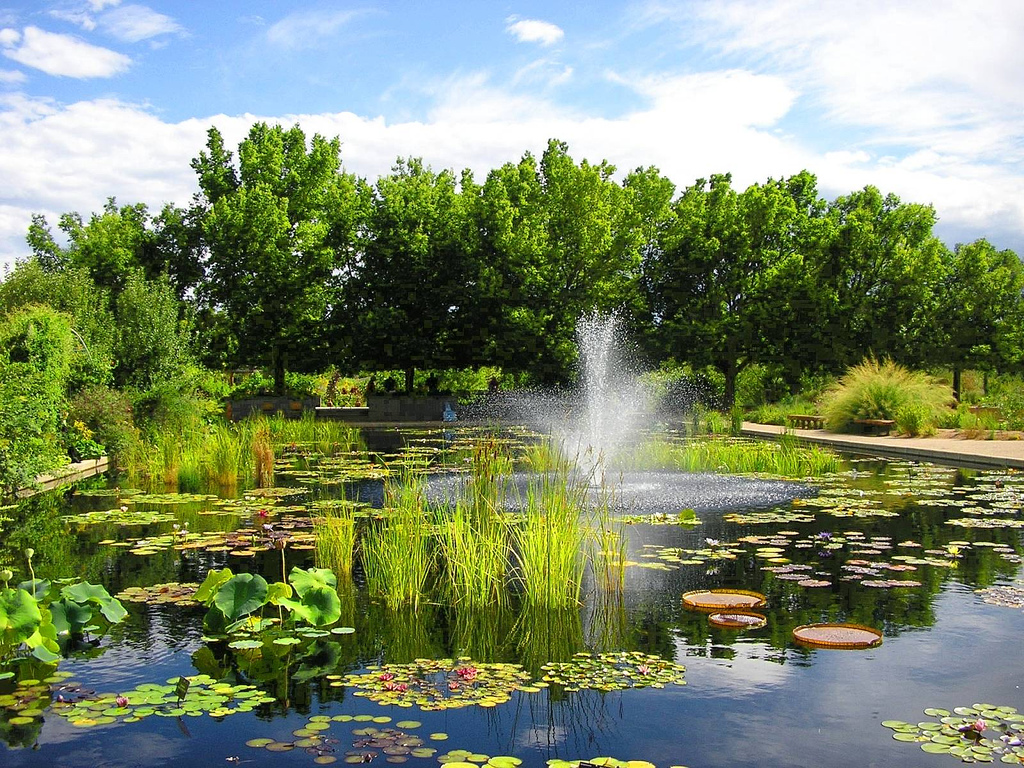 Gradinile botanice din Denver111