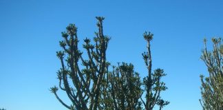 Great Fish River Reserve