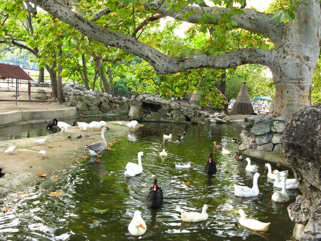 Grădina Zoologică din Belgrad