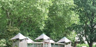 Grădina Zoologică din Londra: Obiective turistice Anglia – Londra Grădina Zoologică din Londra