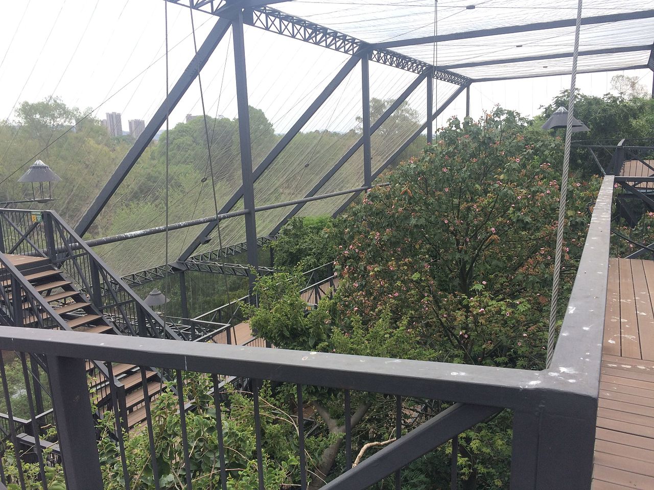 Grădina zoologică din Johannesburg11