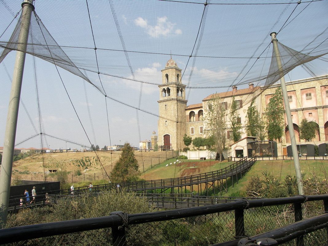 Grădinile Montecasino Bird Grădinile Montecasino Bird