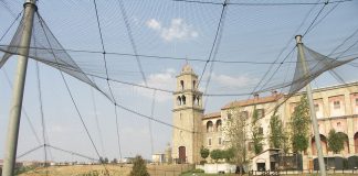 Grădinile Montecasino Bird