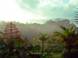 Guiana Franceza