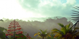 Guiana Franceza : Țări de vizitat Guiana Franceza