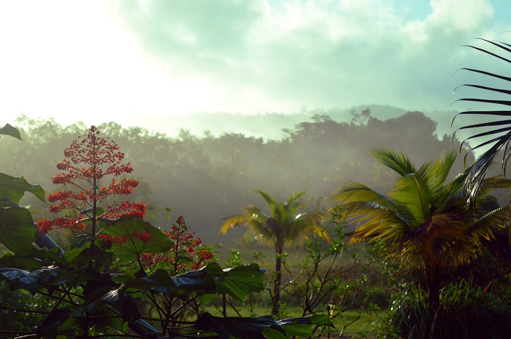 Guiana Franceza Guiana Franceza