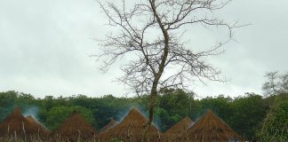 Guineea-Bissau : Țări de vizitat Guinea Bissau