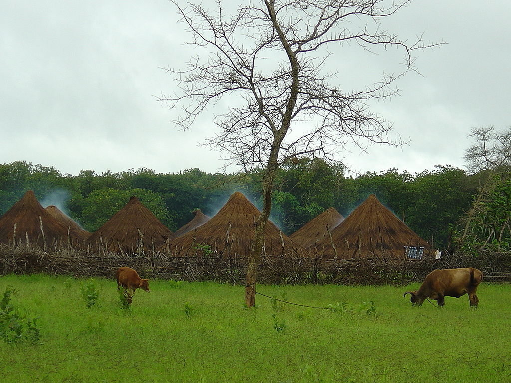 Guinea Bissau Guinea Bissau