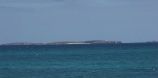 Insula Carnac – Australia: Orașe de vizitat Insula Carnac