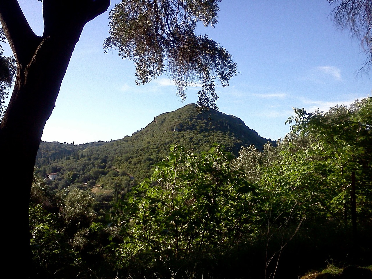 Insula Corfu111