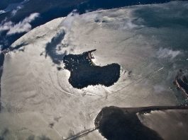 Insula Dangar