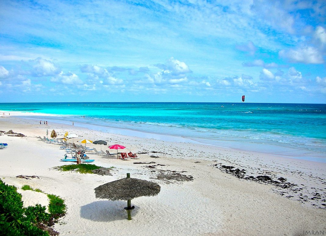 Insula Harbour Insula Harbour