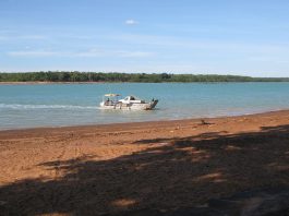 Insula Melville