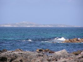 Insula Montague