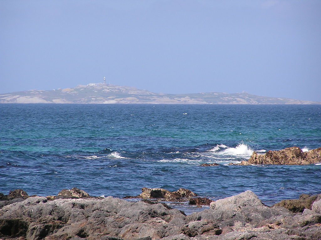 Insula Montague