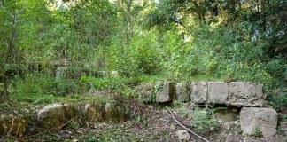 Insula Păcuiul lui Soare