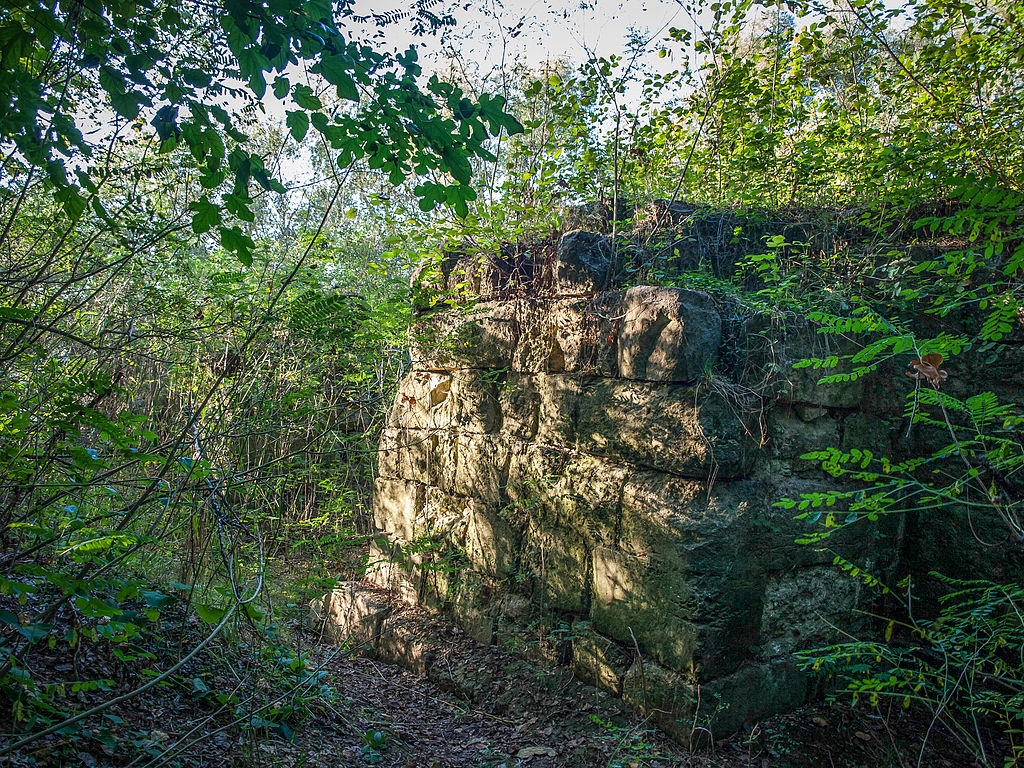 Insula Păcuiul lui Soare111