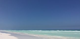 Insula Wedge: Obiective turistice Australia – Wedge Insula Wedge