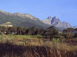 Jonkershoek