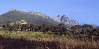 Rezervația naturală Jonkershoek: Obiective turistice Africa de Sud – Stellenbosch Jonkershoek