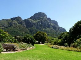 Kirstenbosch Botanical Gardens