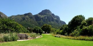 Kirstenbosch Botanical Gardens