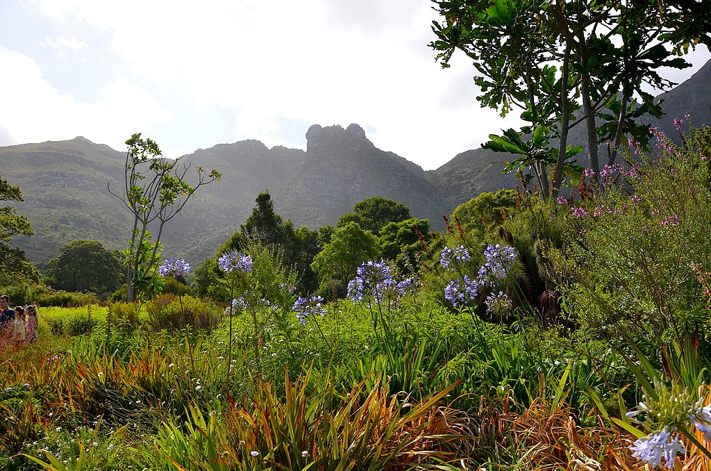 Kirstenbosch Botanical Gardens11