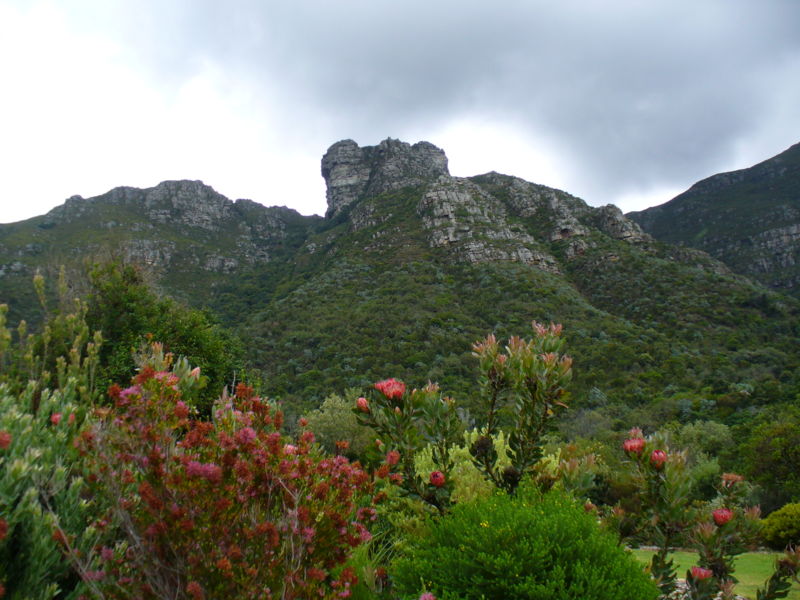 Kirstenbosch111
