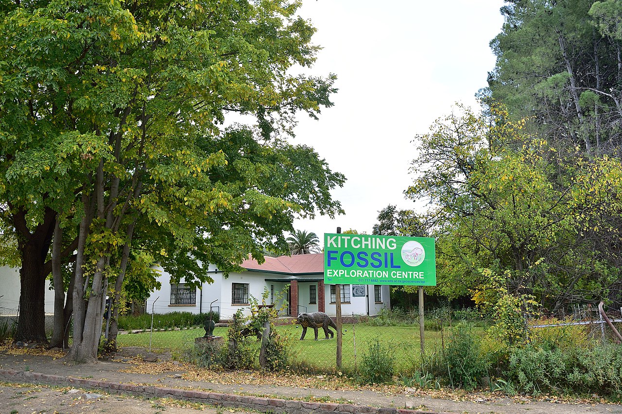 Kitching Fossil Exploration