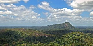 Koppies Dam Nature Reserve: Obiective turistice Africa de Sud – Koppies Koppies