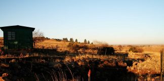 Vechea Mină de Aur Kromdraai: Obiective turistice Africa de Sud – Sterkfontein Caves Kromdraai