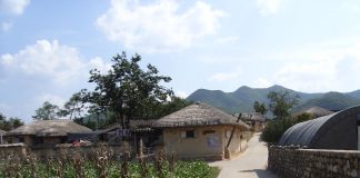 Centrul de reabilitare Kalahari Raptor: Obiective turistice Africa de Sud – Kuruman Kuruman