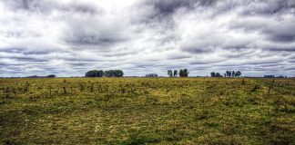 La Pampas: Obiective turistice Argentina – Buenos Aires La Pampas