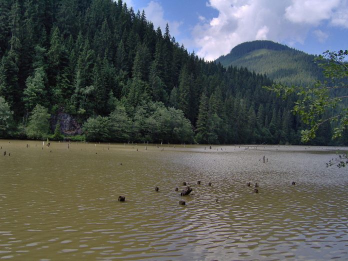 Lacul RoÈ™u Obiective Turistice Harghita DeÈ™tepÈ›i Ro