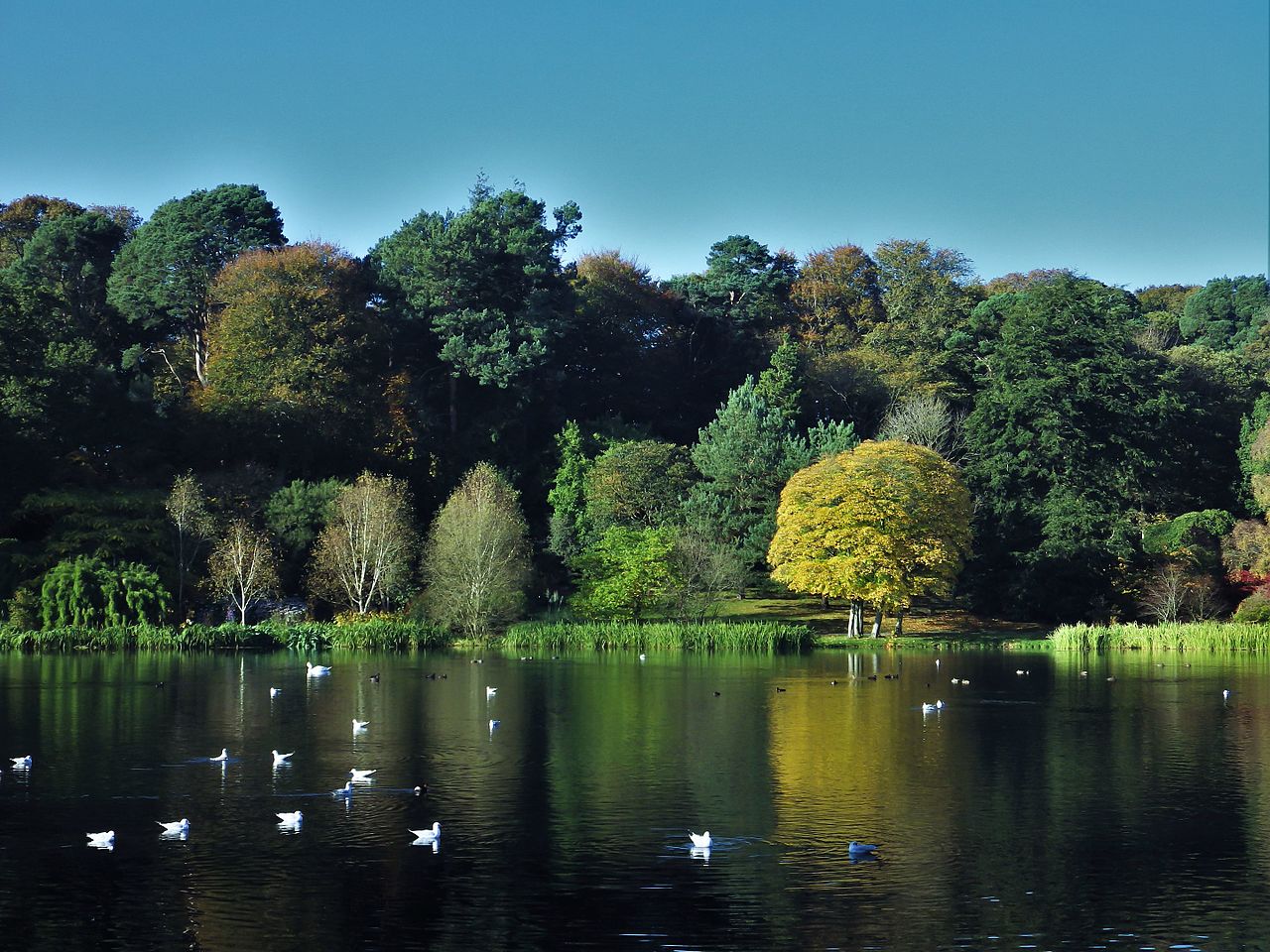 Lacul Strangford