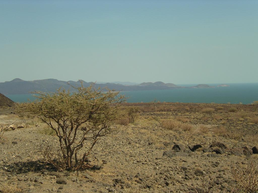 Lacul Turkana11