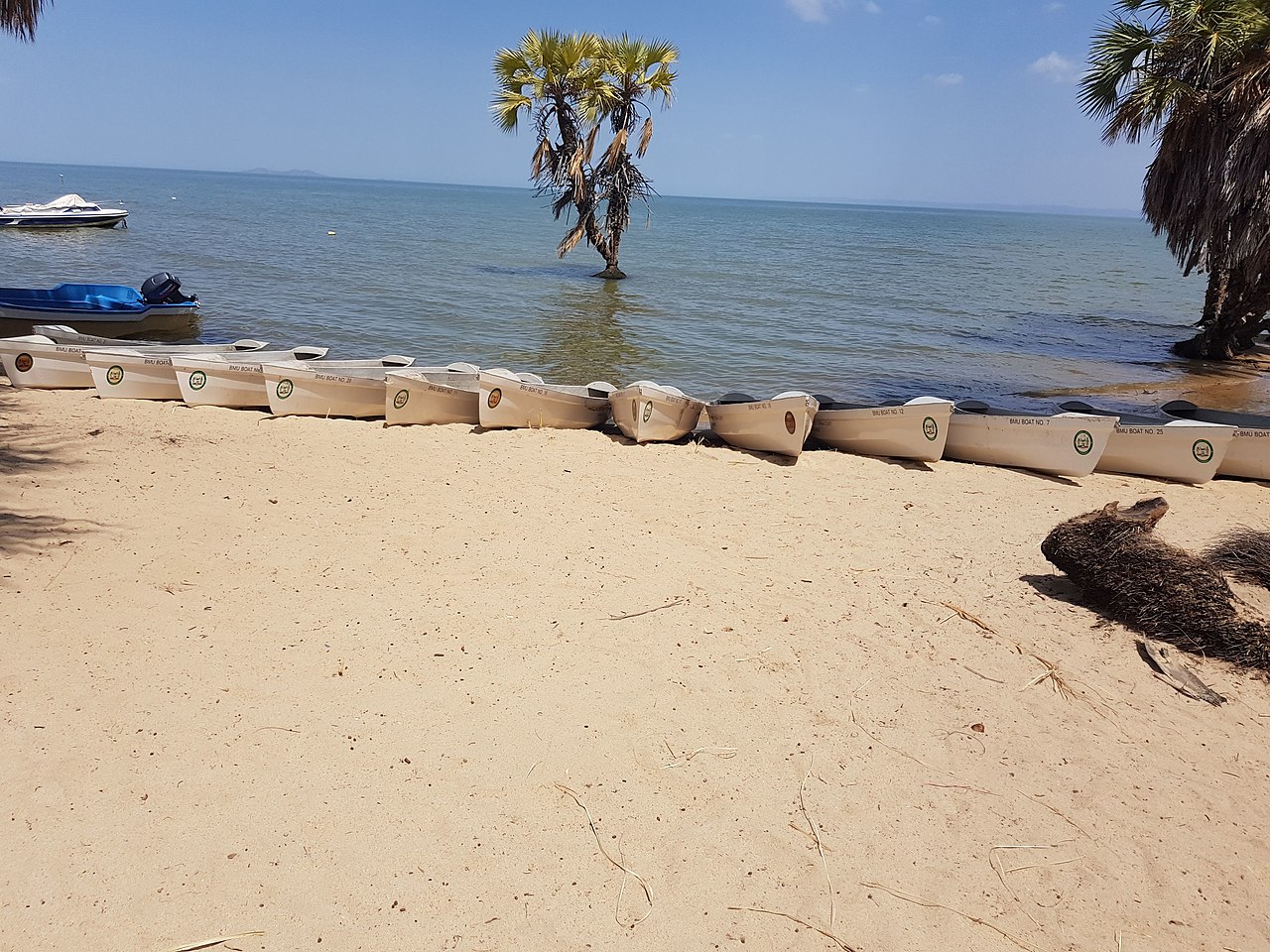 Lacul Turkana111