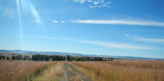 Catharina Brand Museum: Obiective turistice Africa de Sud – Ladybrand Ladybrand