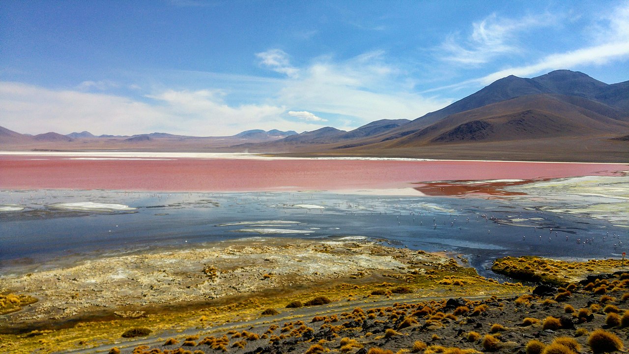 Laguna Colorada