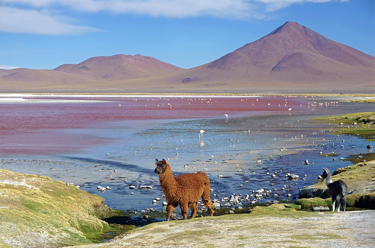 Laguna Colorada111