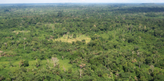 Liberia : Țări de vizitat Liberia