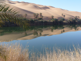 Libia
