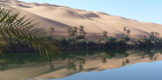 Libia : Țări de vizitat Libia