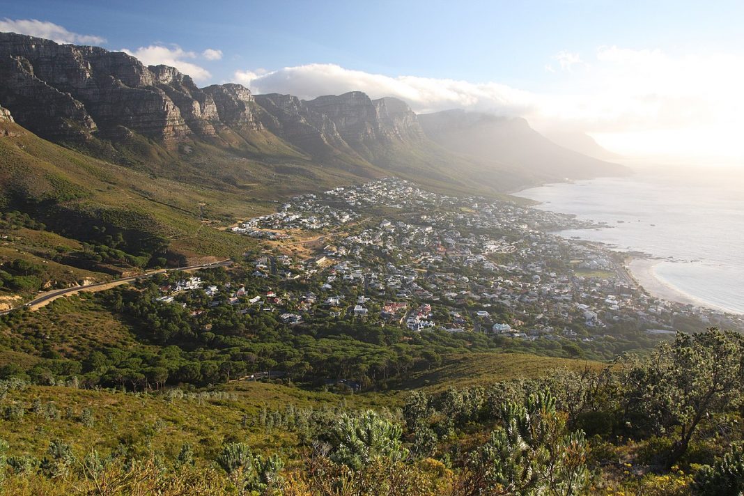 Lion’s Head Lion’s Head