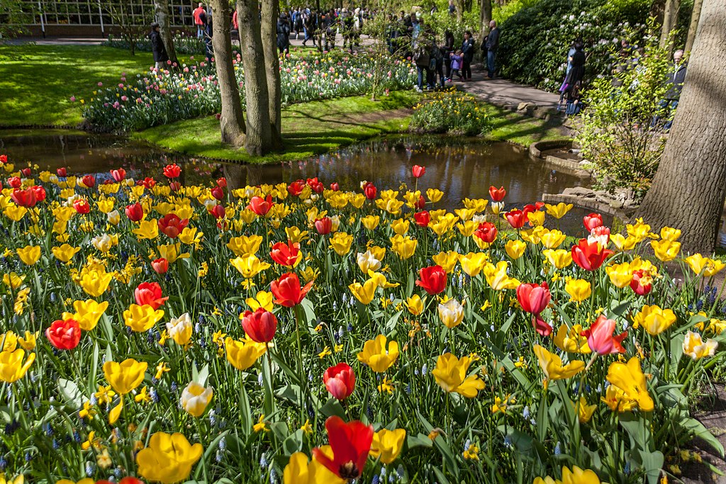 Lisse panorama