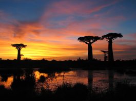 Madagascar