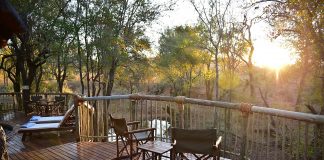 Madikwe Game Reserve: Obiective turistice Africa de Sud – Rustenburg Madikwe Game Reserve
