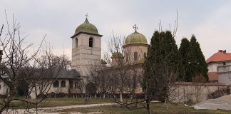 Manastirea Negru Voda